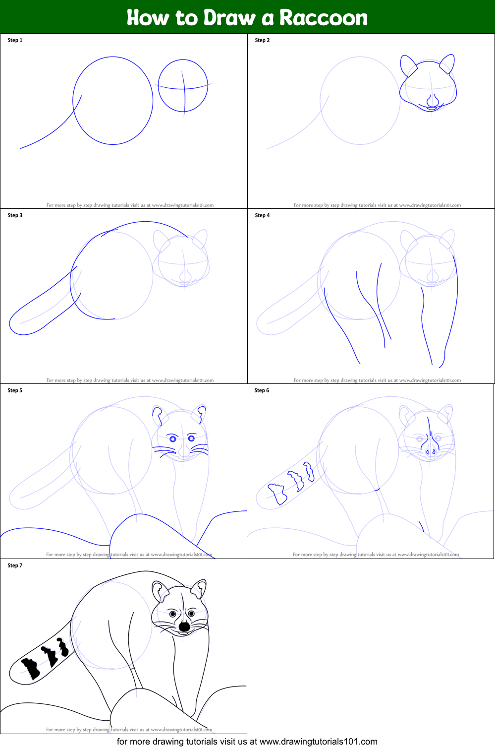 How to Draw a Raccoon Printable Step by Step