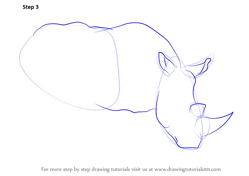 Learn How to Draw a Rhinoceros (Zoo Animals) Step by Step : Drawing