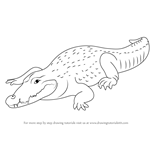 How to Draw a Crocodile