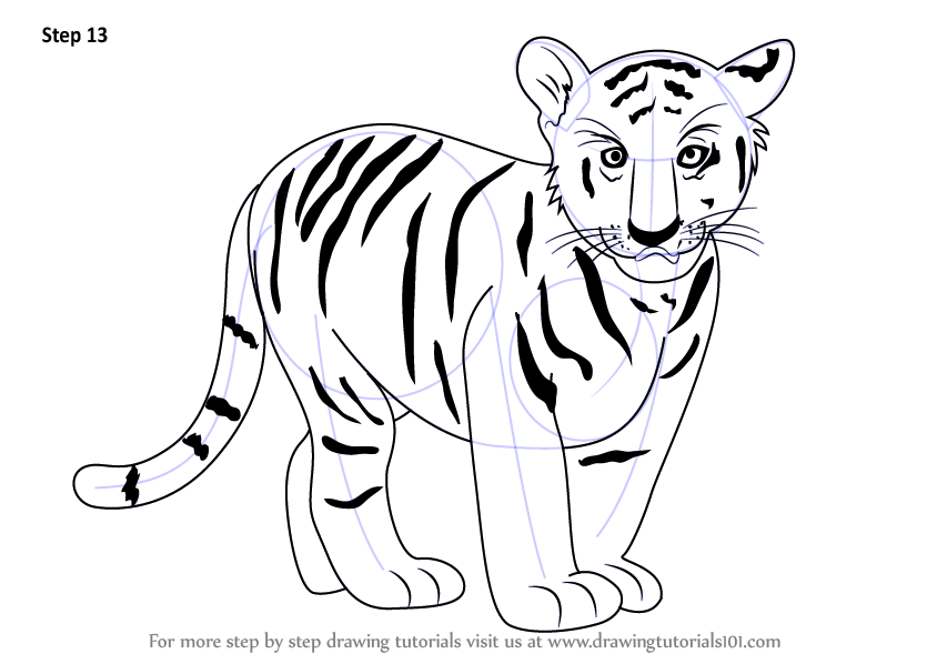 How do you draw a tiger?