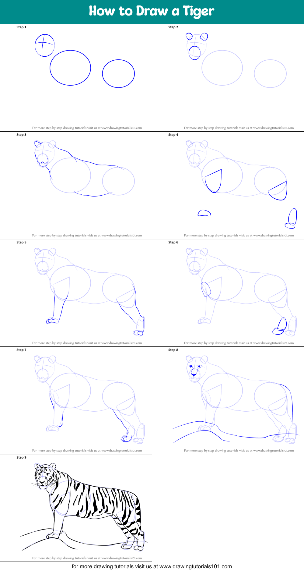 How to Draw a Tiger (Zoo Animals) Step by Step | DrawingTutorials101.com