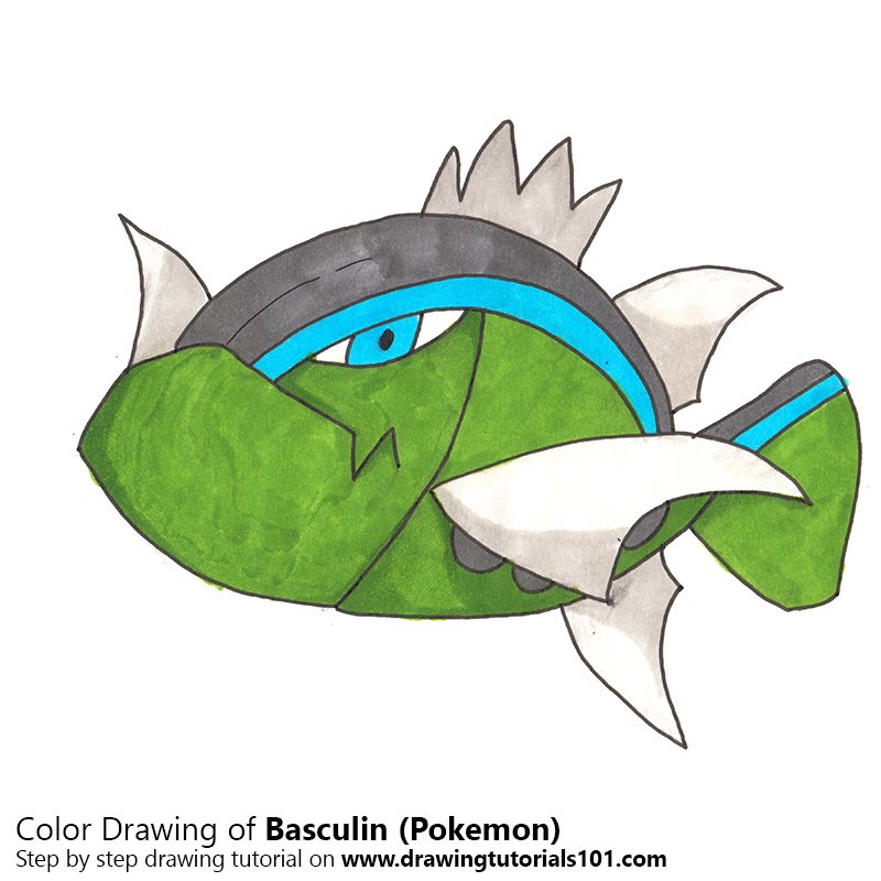 How to Draw Basculin from Pokemon by Color Pencils