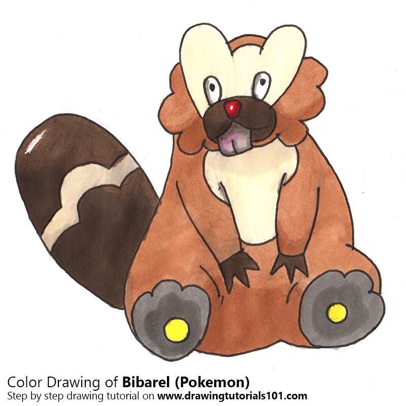 How to Draw Bibarel from Pokemon by Color Pencils