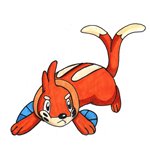 How to Draw Buizel from Pokemon