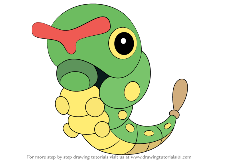 Learn How to Draw Caterpie  from Pokemon  Pokemon  Step by 