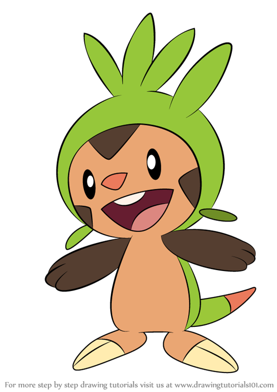 Learn How to Draw Chespin  from Pokemon  Pokemon  Step by 