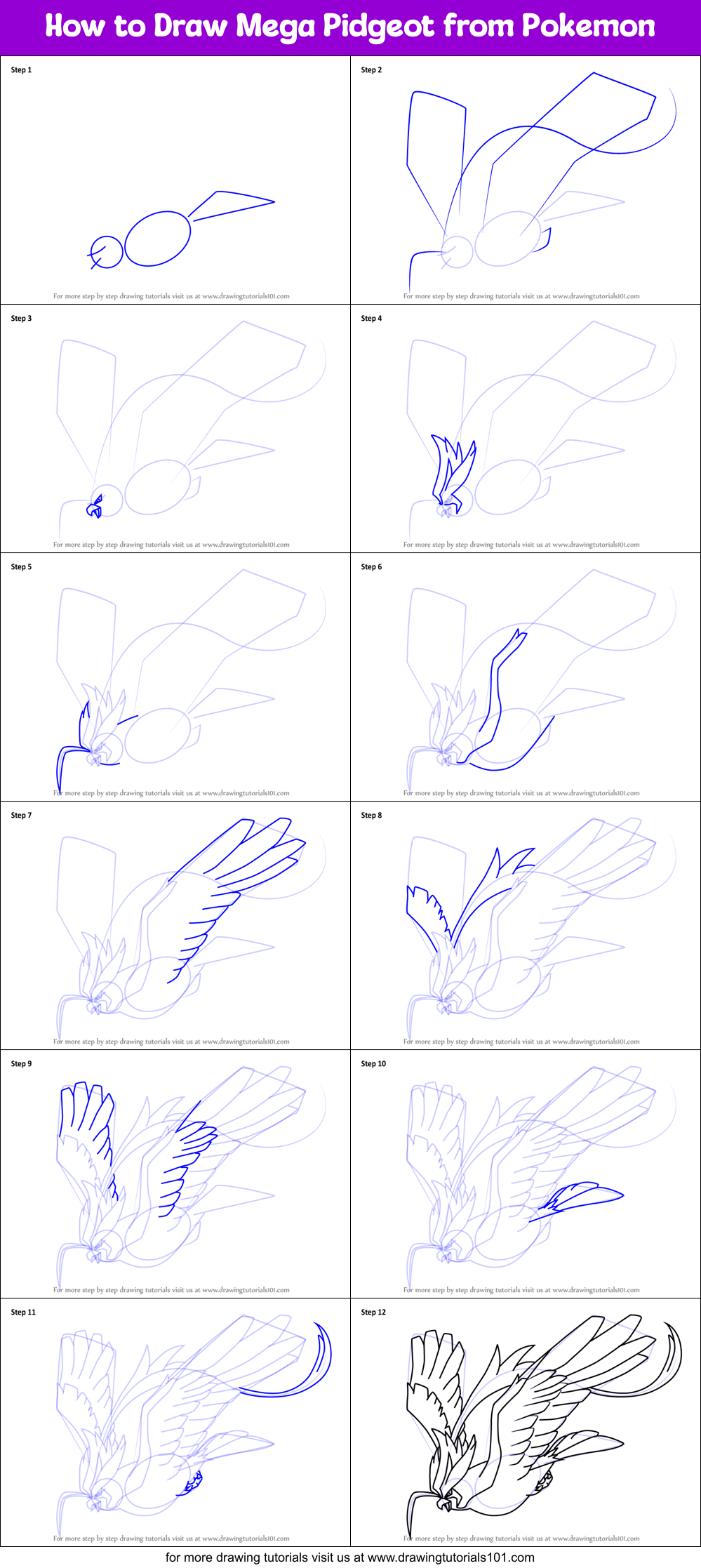 How to Draw Mega Pidgeot from Pokemon Printable Step by Step