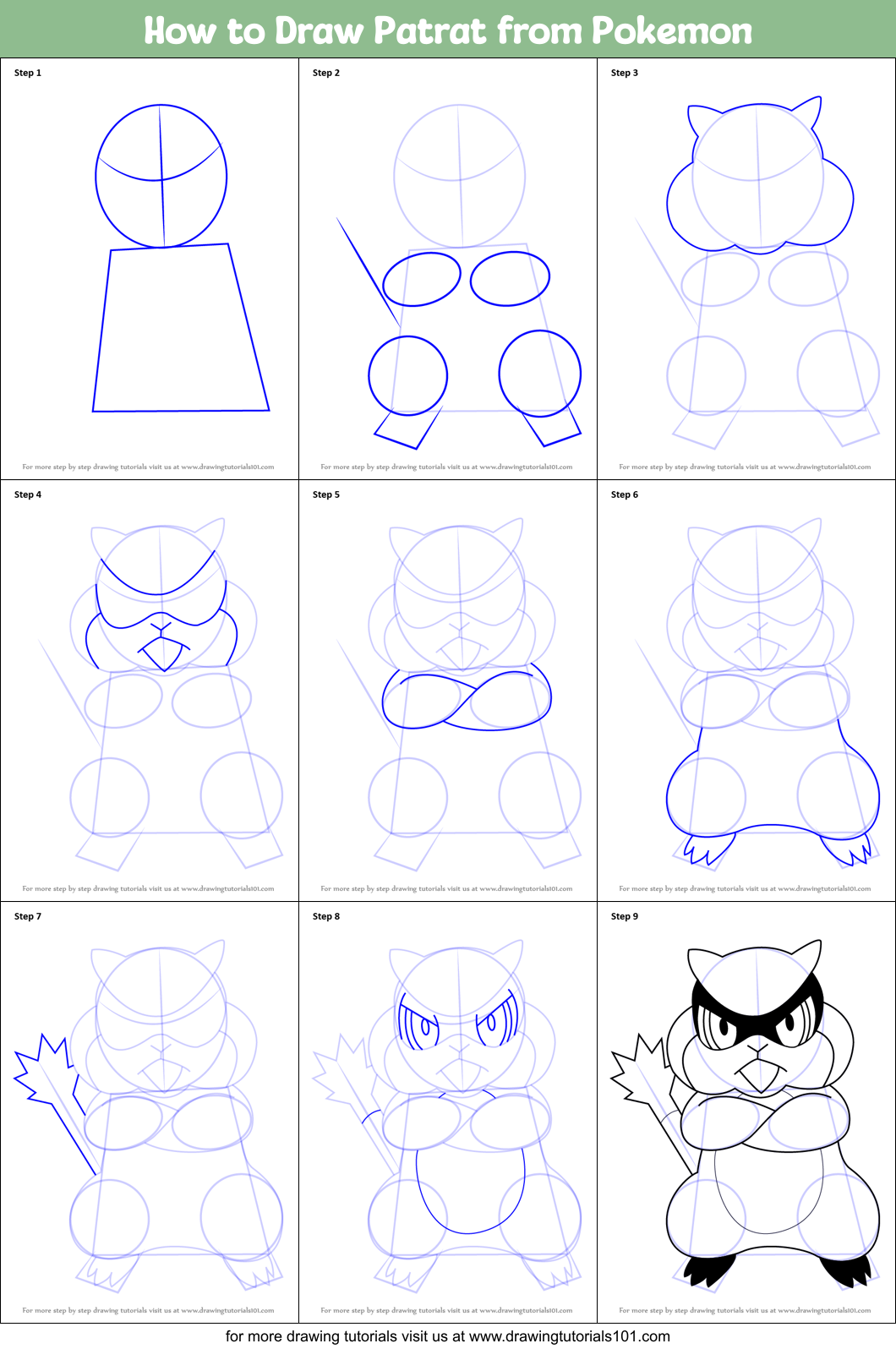 How to Draw Patrat from Pokemon Printable Step by Step