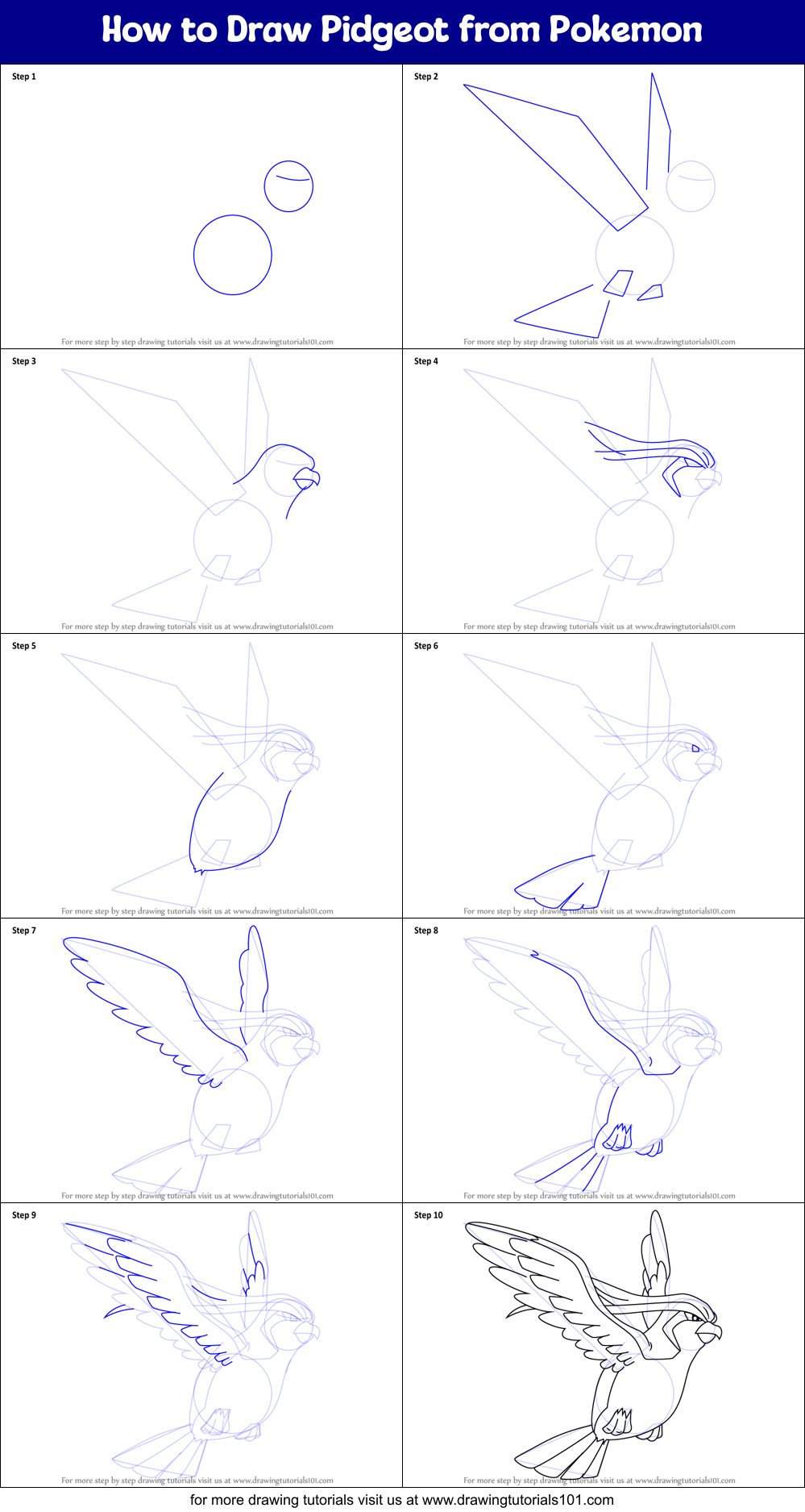 How to Draw Pidgeot from Pokemon Printable Step by Step