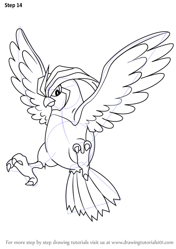 Learn How to Draw Pidgeotto from Pokemon (Pokemon) Step by Step