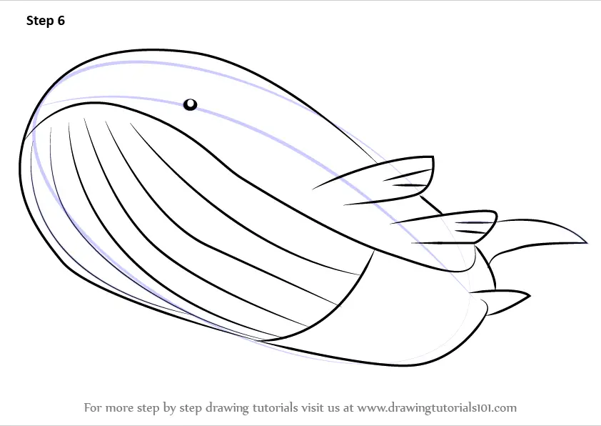 How To Draw Wailord From Pokemon Pokemon Step By Step