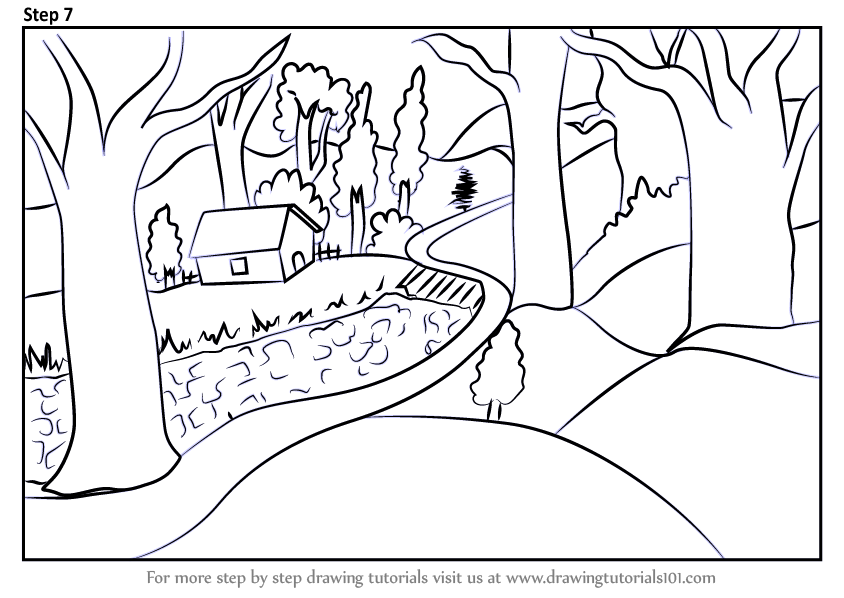 Forest Drawing Guide In 6 Steps BeginnerFriendly Video  Images Included