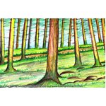 How to Draw Forest Trees