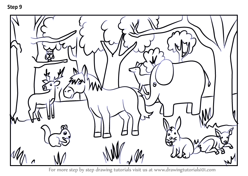 Forest Animals Drawing