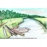 How to Draw Chitwan National Park