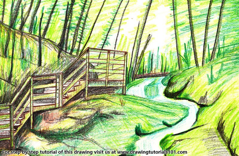 How to Draw Fundy National Park by Color Pencils