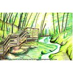 How to Draw Fundy National Park