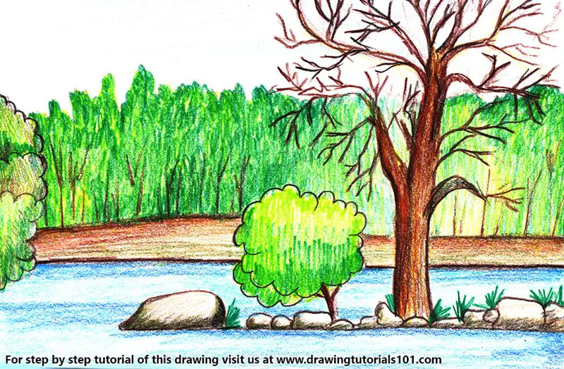 Pench National Park Color Pencil Drawing