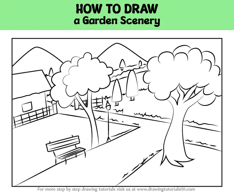garden perspective drawing | DrawnToGarden