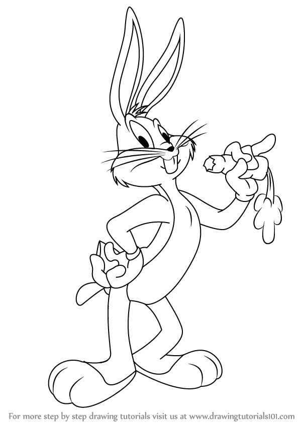 Learn How to Draw Bugs Bunny (Bugs Bunny) Step by Step : Drawing Tutorials