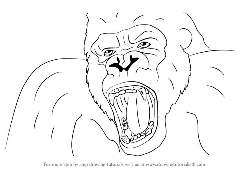 Learn How to Draw King Kong Face (King Kong) Step by Step : Drawing