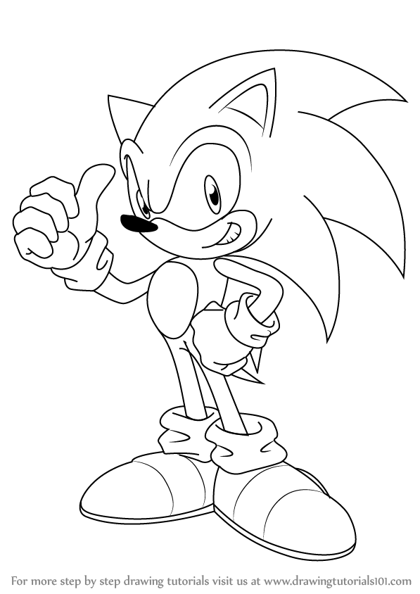 Learn How To Draw Sonic Sonic The Hedgehog Step By Step Drawing