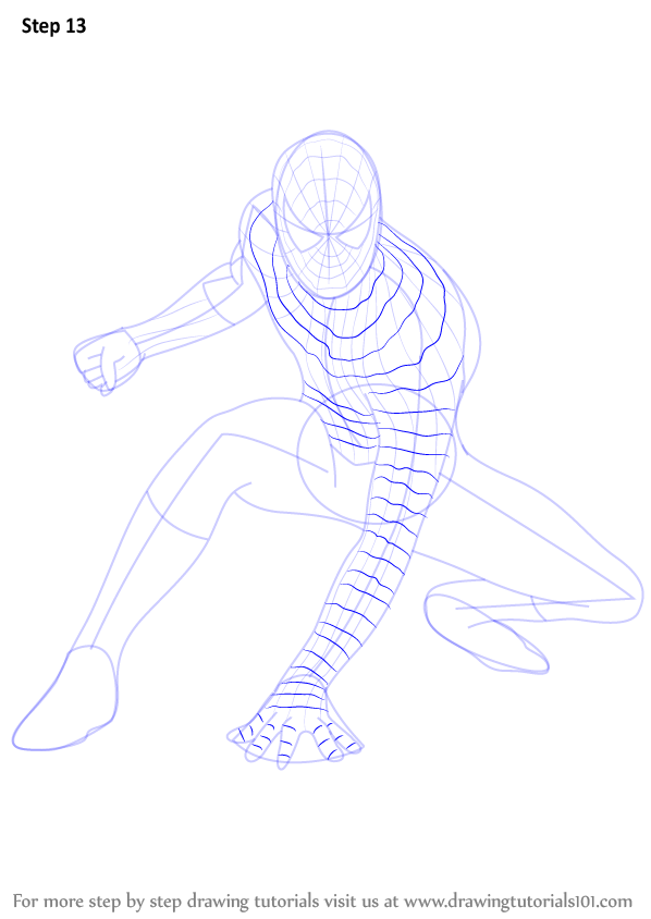 Learn How to Draw Spiderman (Spiderman) Step by Step : Drawing Tutorials