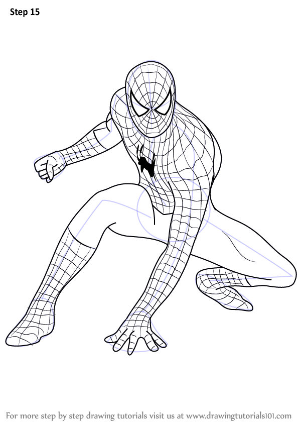 Learn How to Draw Spiderman (Spiderman) Step by Step : Drawing Tutorials