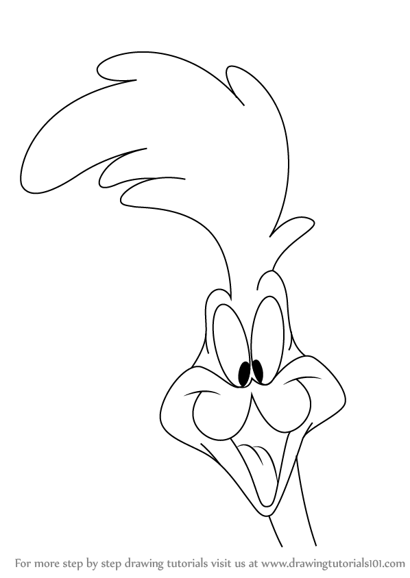 Learn How to Draw The Road Runner Face (The Road Runner) Step by Step