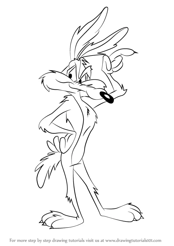 Learn How To Draw The Coyote Wile E Coyote Step By Step.