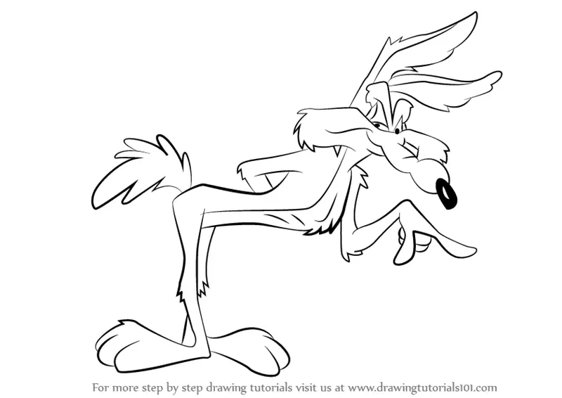Unique Coyote Owl And Roadrunner Sketch Drawings for Beginner