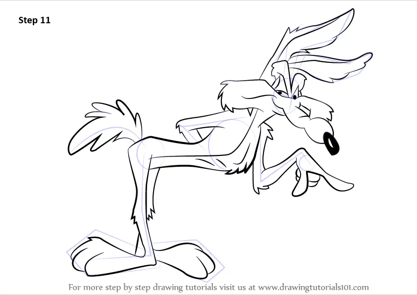 Learn How to Draw Wile E. Coyote (Wile E. Coyote) Step by Step