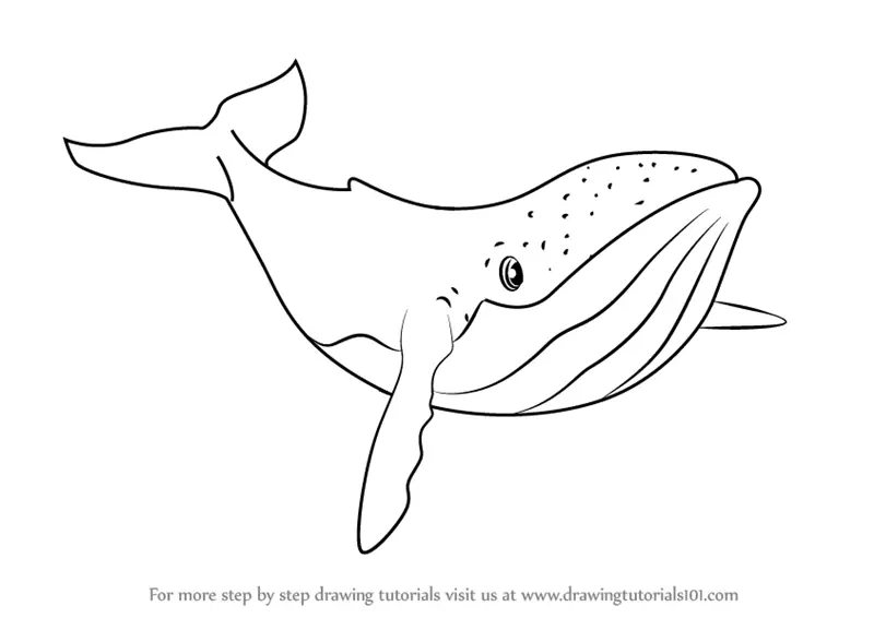 Whale, Pencil Sketch - Arthub.ai