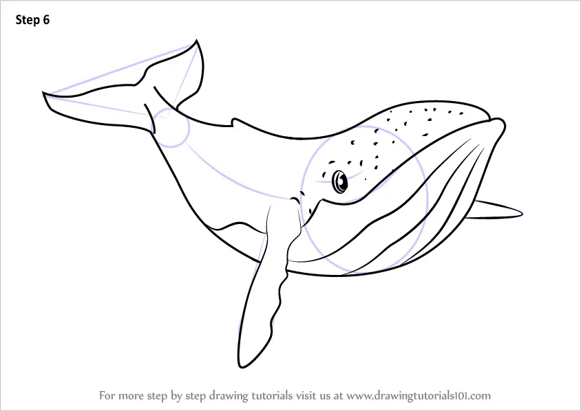 Download Learn How to Draw Humpback Whale from Fantasia (Fantasia ...