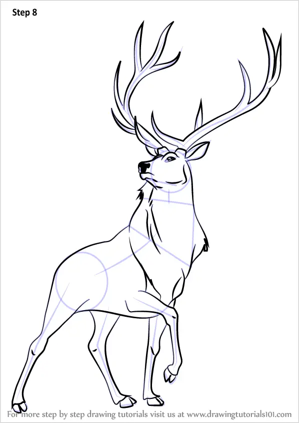 Learn How to Draw The Elk from Fantasia (Fantasia) Step by Step