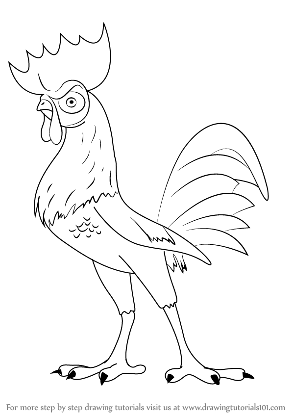 Step by Step How to Draw Hei Hei from Moana 