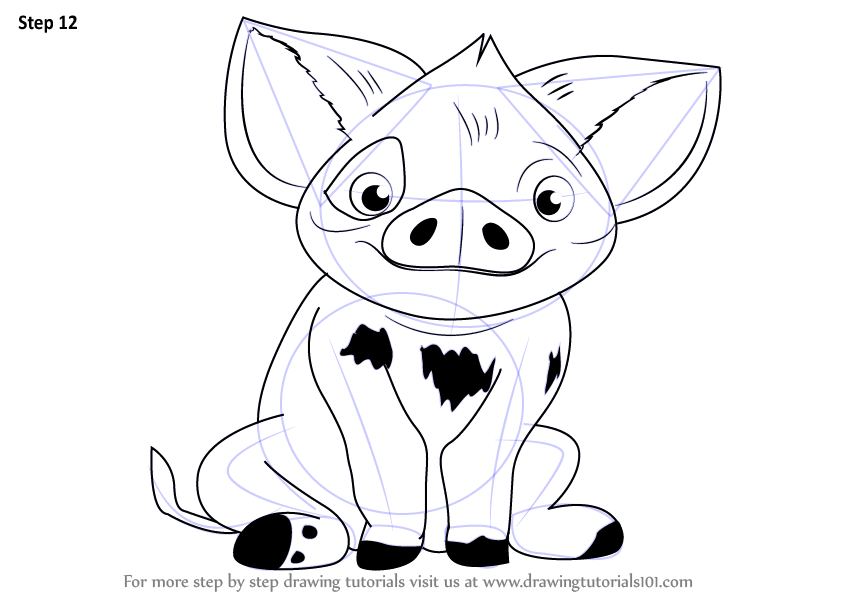 Learn How To Draw Pua From Moana Moana Step By Step Drawing Tutorials