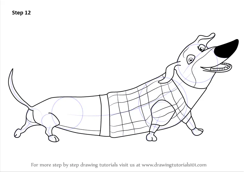 Learn How to Draw Mr. Weenie from Open Season (Open Season) Step by Step :  Drawing Tutorials