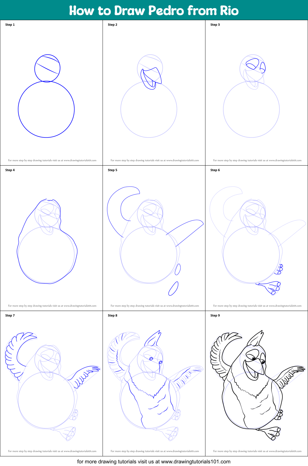 How to Draw Pedro from Rio Printable Step by Step