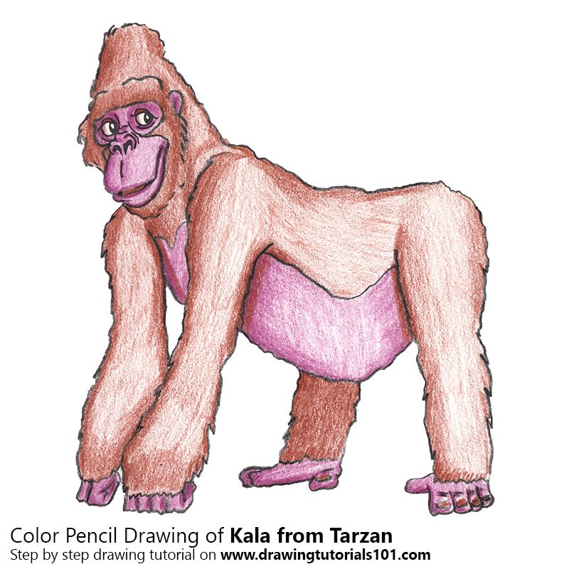 How to Draw Kala from Tarzan by Color Pencils