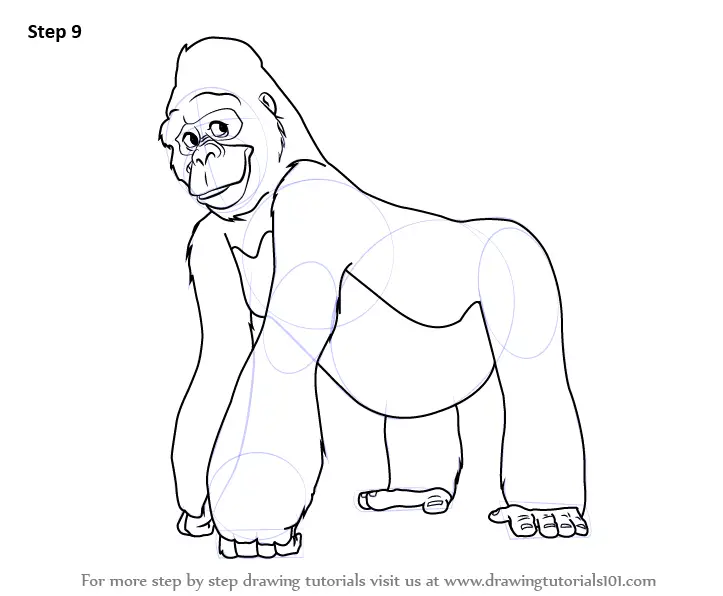 Learn How To Draw Kala From Tarzan Tarzan Step By Step Drawing Tutorials Next draw out another circle for his chest and then add the shoulder and arms shaped guidelines as seen here. learn how to draw kala from tarzan