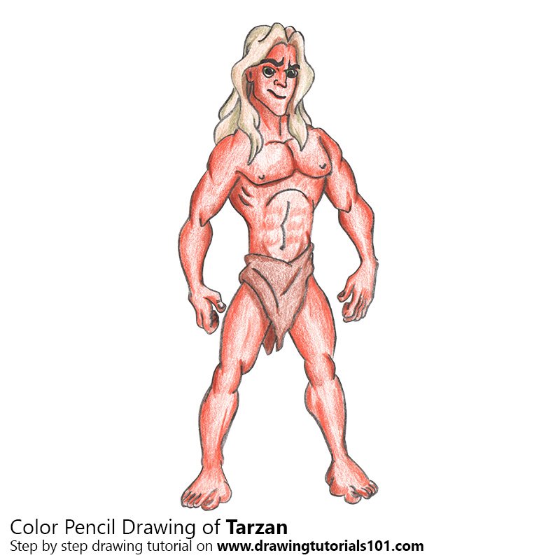 How to Draw Tarzan by Color Pencils