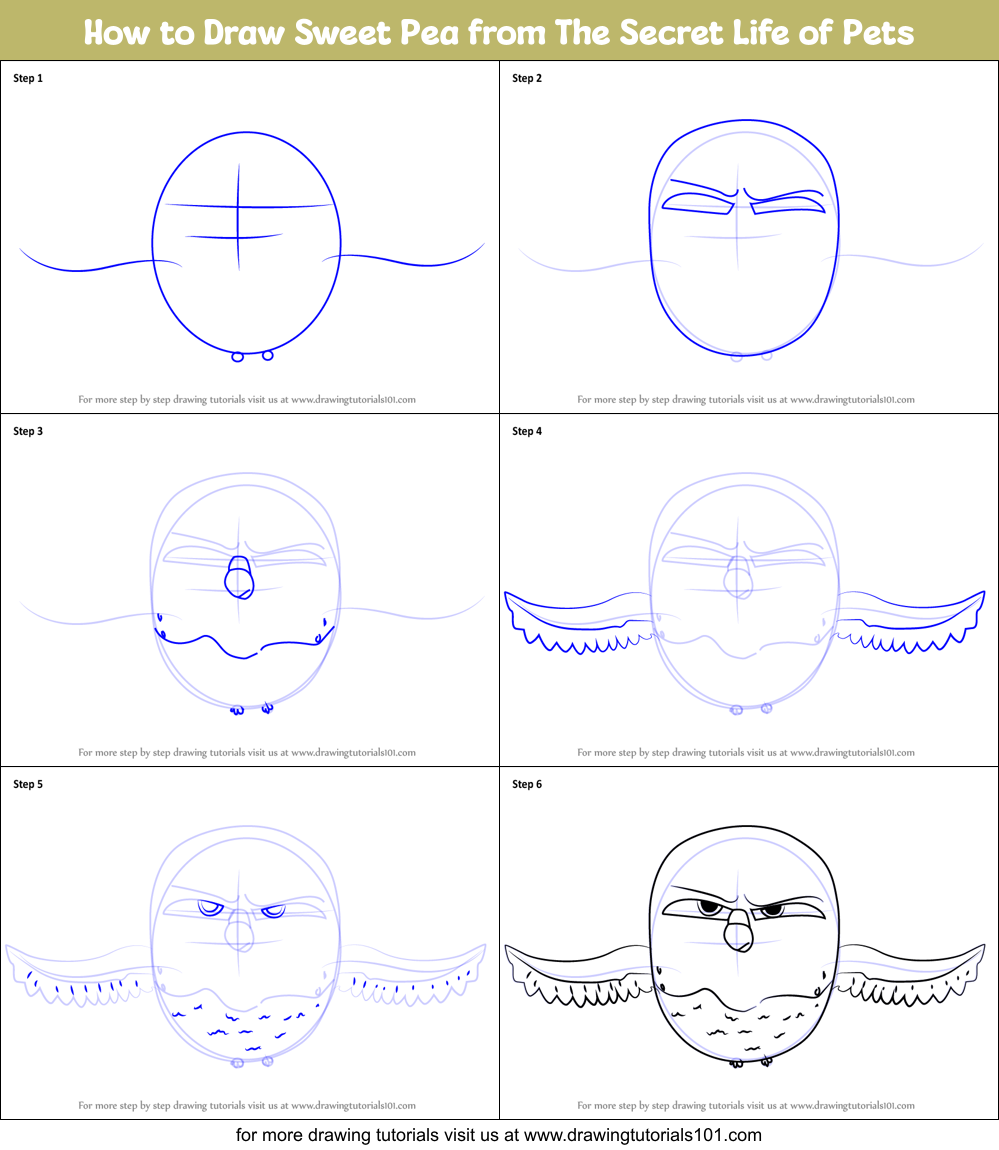 How to Draw Sweet Pea from The Secret Life of Pets Printable Step by Step