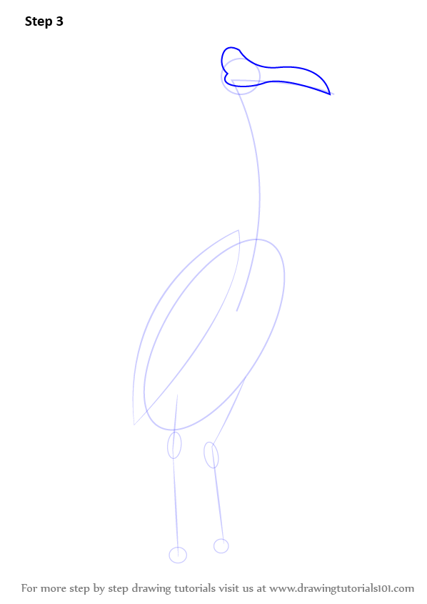 Learn How To Draw Kevin Bird From Up Up Step By Step Drawing Tutorials