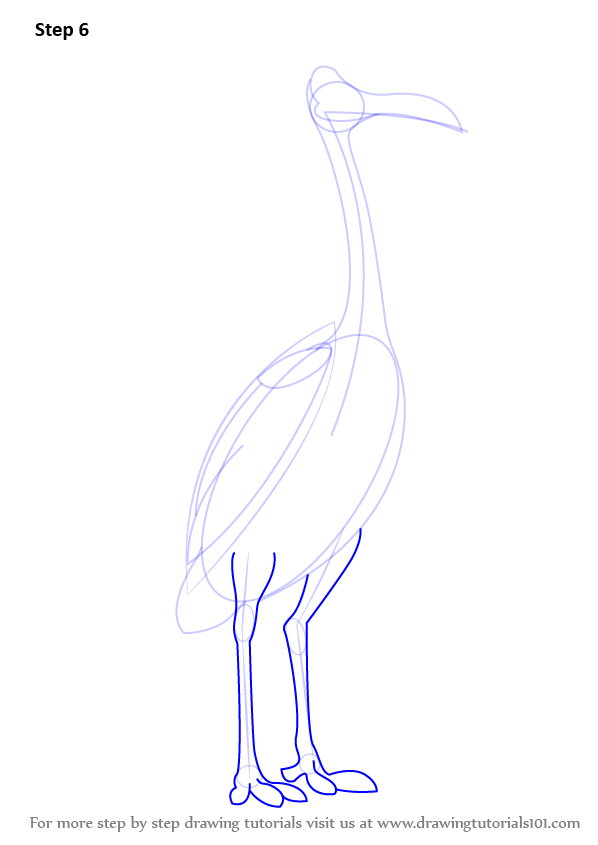 Learn How To Draw Kevin Bird From Up Up Step By Step Drawing Tutorials