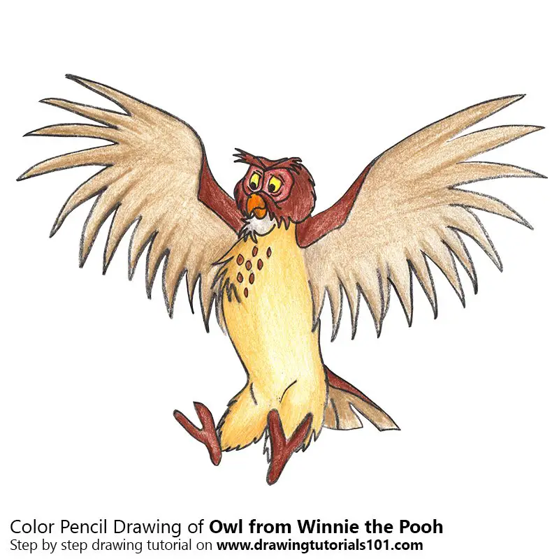 Owl from Winnie the Pooh Color Pencil Drawing