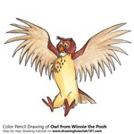 How to Draw Owl from Winnie the Pooh