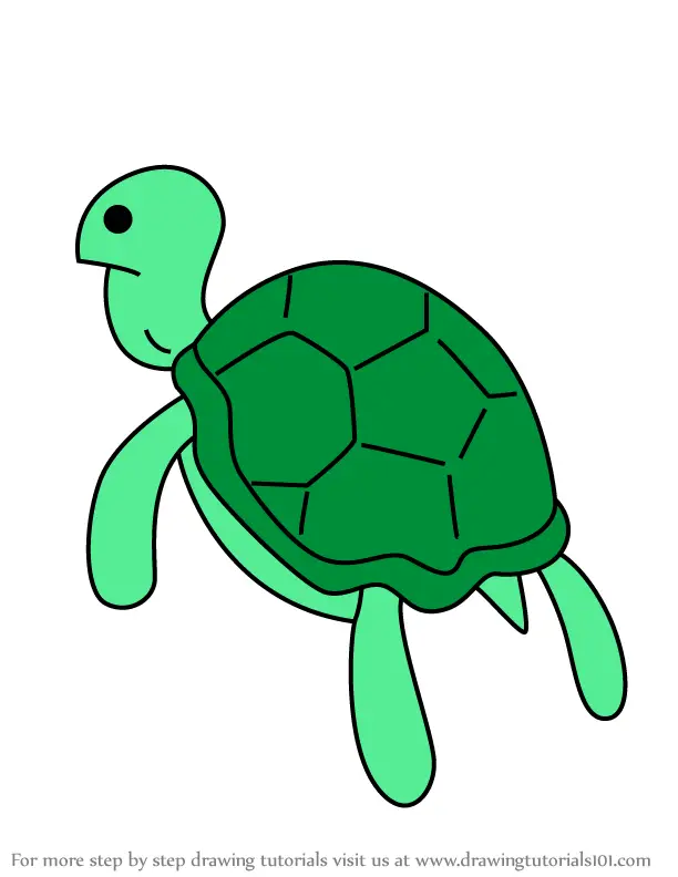 Learn How to Draw Representative Sea Turtle from Adventure Time (Adventure  Time) Step by Step : Drawing Tutorials