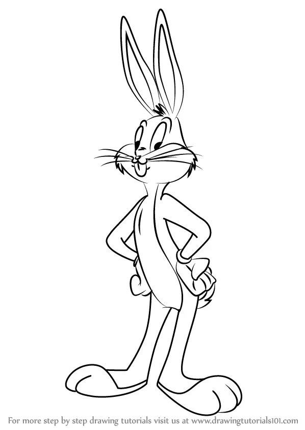 Animal Bugs Bunny Sketch Drawing with simple drawing
