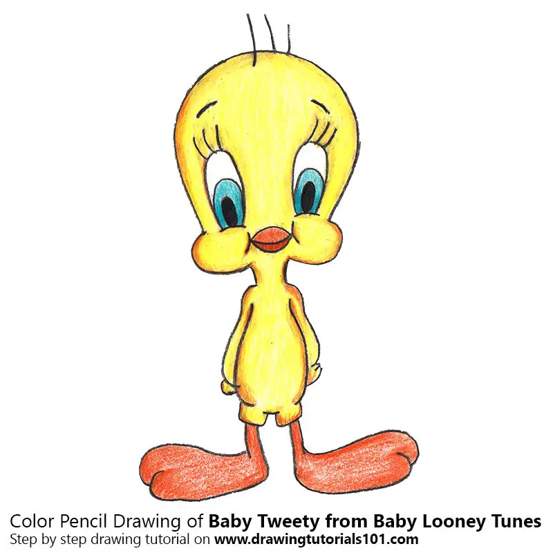 Baby Tweety from Baby Looney Tunes Color Pencil Drawing